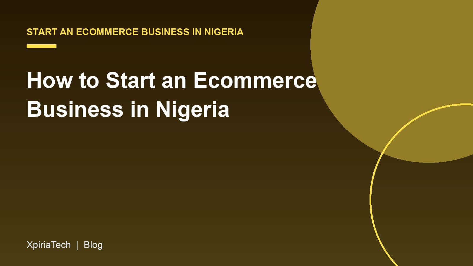 Cover graphic for the article: How to Start an Ecommerce Business in Nigeria