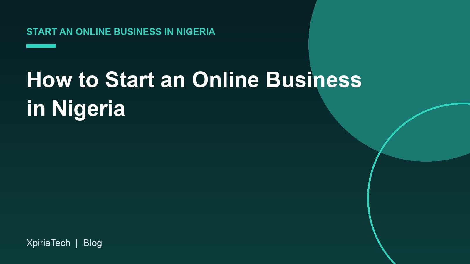 Cover graphic for the article: How to Start an Online Business in Nigeria